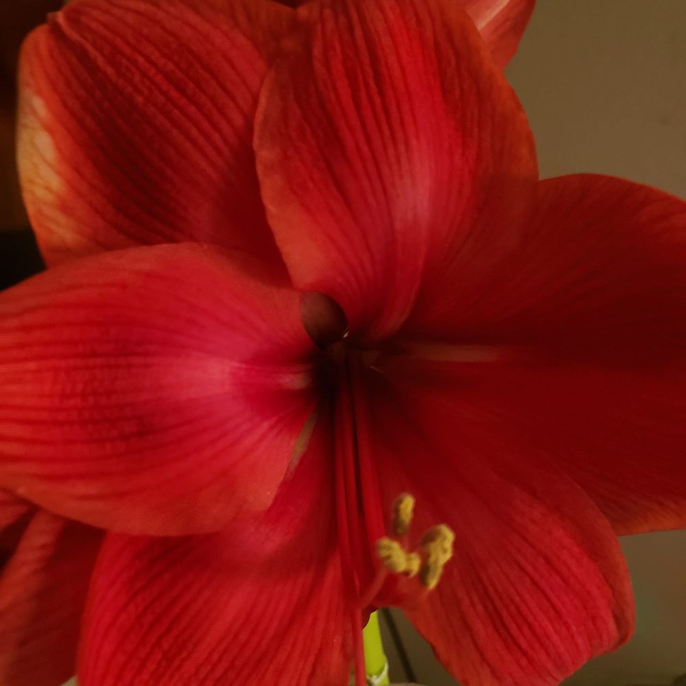 Meet your Posher, Cathy